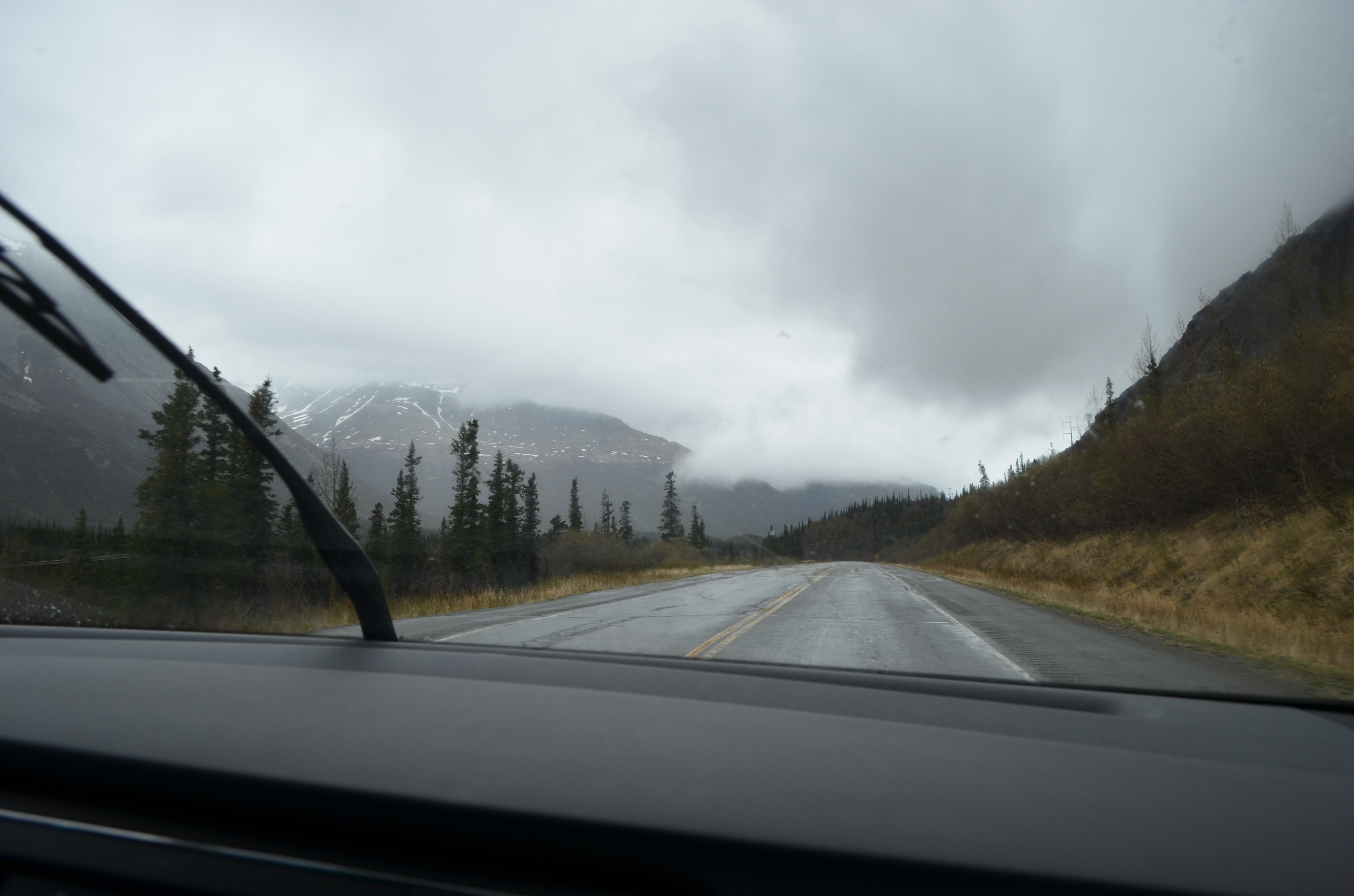 ./2017/08 - Alaska Cruise/03 - Denali/DSC_0106.JPG